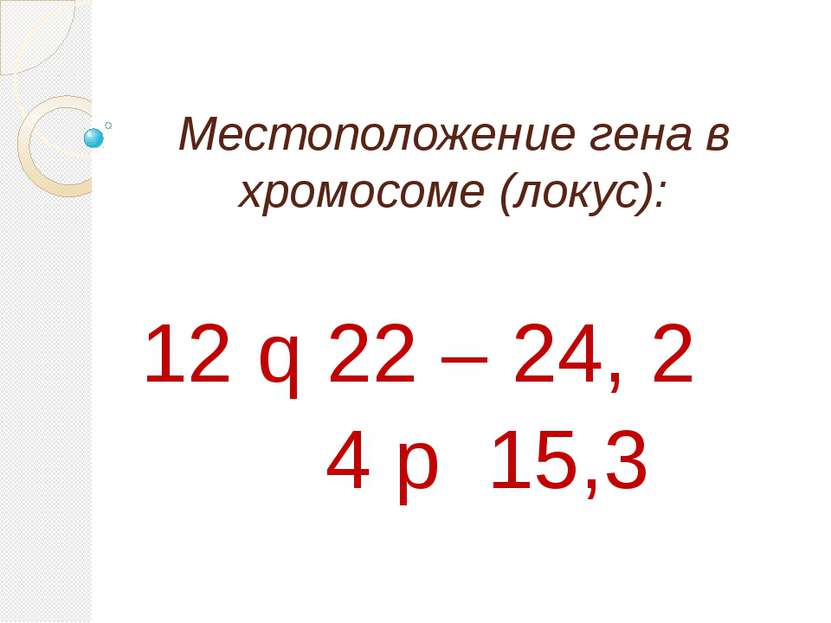 Местоположение гена в хромосоме (локус): 12 q 22 – 24, 2 4 р 15,3