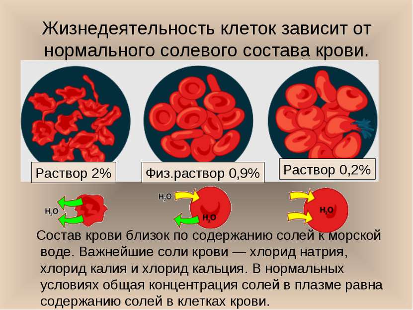 Жизнедеятельность клеток зависит от нормального солевого состава крови. Соста...