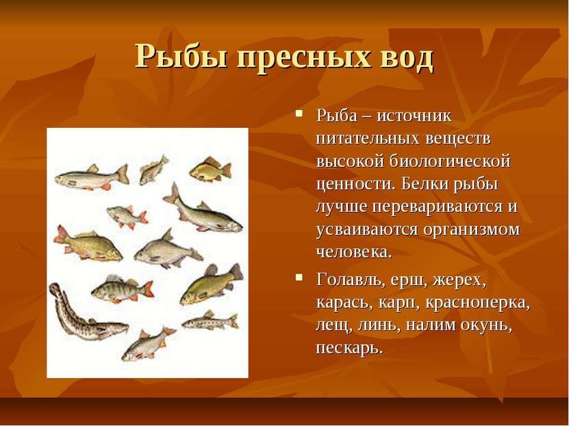 Рыбы пресных вод Рыба – источник питательных веществ высокой биологической це...