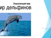 Мир дельфинов