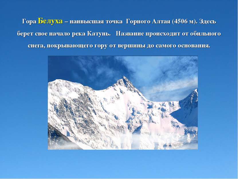 Гора Белуха – наивысшая точка Горного Алтая (4506 м). Здесь берет свое начало...