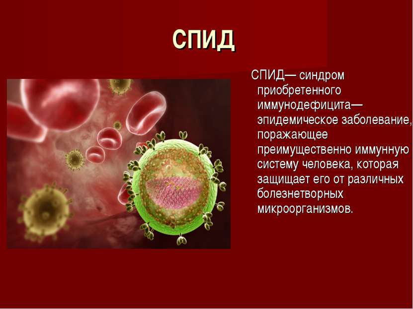 СПИД СПИД— синдром приобретенного иммунодефицита— эпидемическое заболевание, ...