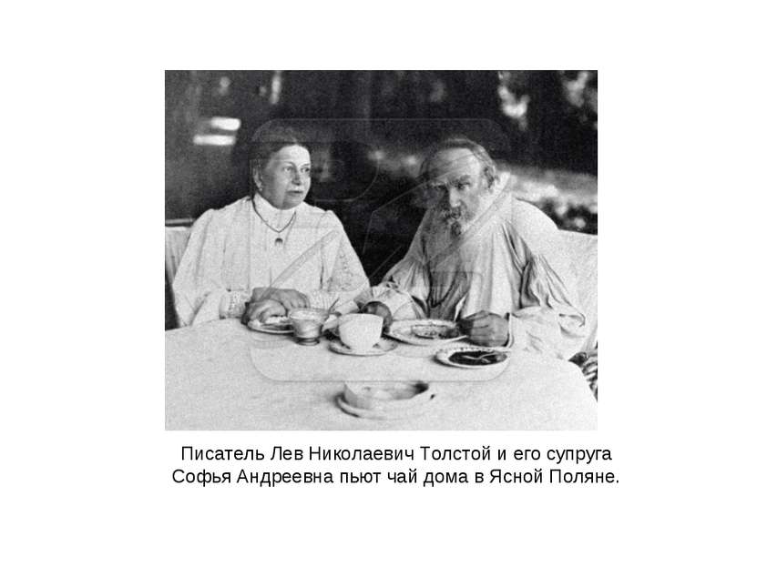 Писатель Лев Николаевич Толстой и его супруга Софья Андреевна пьют чай дома в...