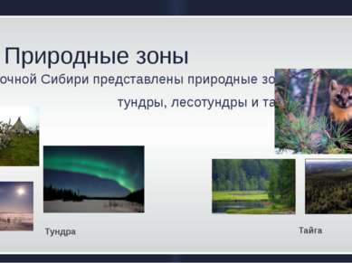 Природные зоны В Восточной Сибири представлены природные зоны   тундры, лесот...