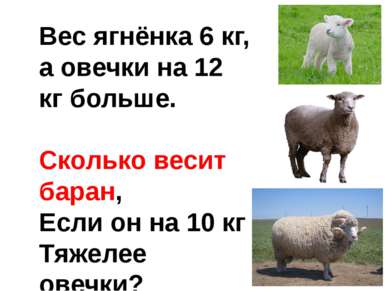 Вес ягнёнка 6 кг, а овечки на 12 кг больше. Сколько весит баран, Если он на 1...