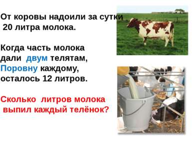 От коровы надоили за сутки 20 литра молока. Когда часть молока дали двум теля...