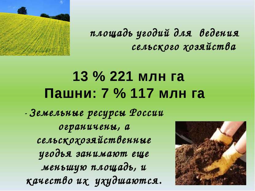 площадь угодий для ведения сельского хозяйства 13 % 221 млн га Пашни: 7 % 117...