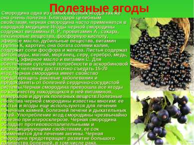 Полезные ягоды Смородина одна из самых вкусных ягод,а так же она очень полезн...