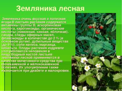 Земляника лесная Земляника очень вкусная и полезная ягода.В листьях растения ...
