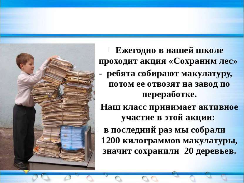 Ежегодно в нашей школе проходит акция «Сохраним лес» - ребята собирают макула...