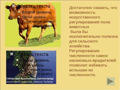 Достаточно сказать, что возможность искусственного регулирования пола животны...