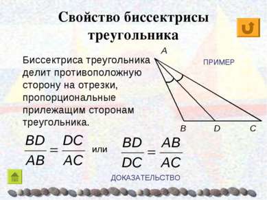Свойство биссектрисы треугольника C B A Биссектриса треугольника делит против...