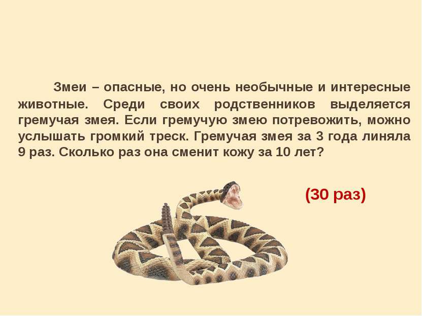 Змеи – опасные, но очень необычные и интересные животные. Среди своих родстве...