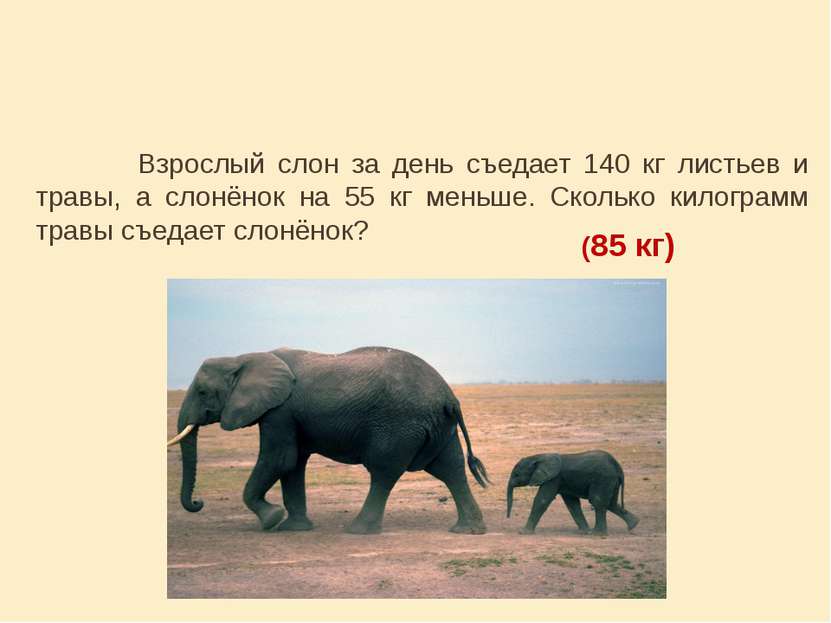 Взрослый слон за день съедает 140 кг листьев и травы, а слонёнок на 55 кг мен...