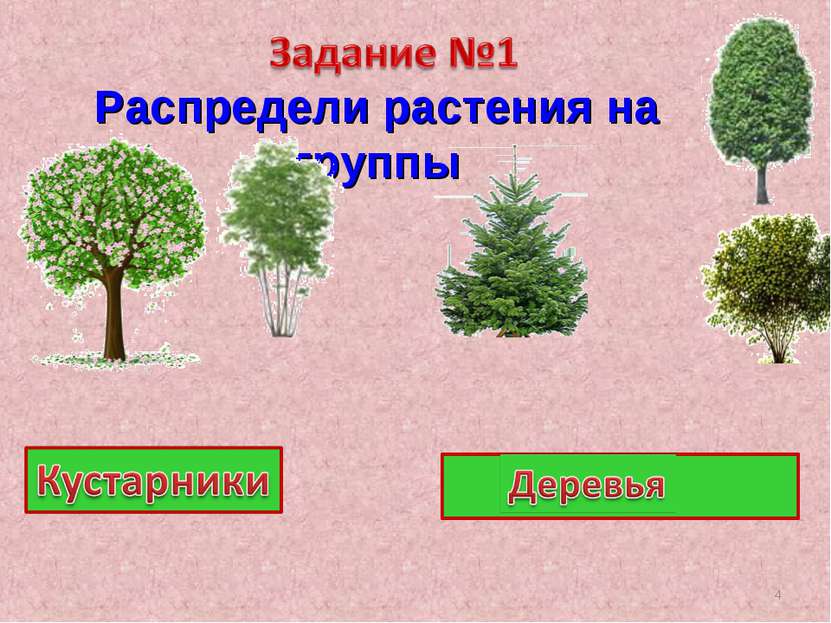 Распредели растения на группы *