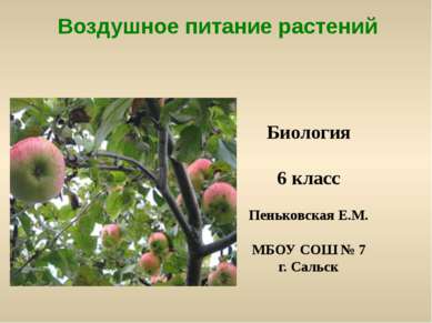 Воздушное питание растений Биология 6 класс Пеньковская Е.М. МБОУ СОШ № 7 г. ...