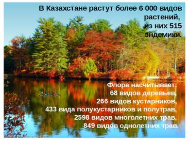 В Казахстане растут более 6 000 видов растений, из них 515 эндемики. Флора на...