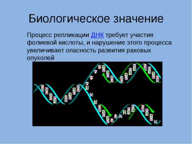Биологическое значение Процесс репликации ДНК требует участия фолиевой кислот...