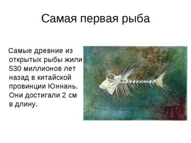 Самая первая рыба Самые древние из открытых рыбы жили 530 миллионов лет назад...