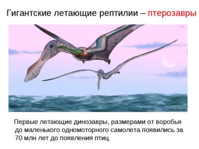 Гигантские летающие рептилии – птерозавры Первые летающие динозавры, размерам...