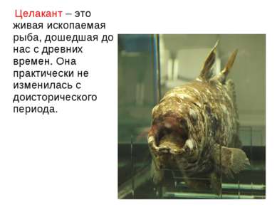Целакант – это живая ископаемая рыба, дошедшая до нас с древних времен. Она п...