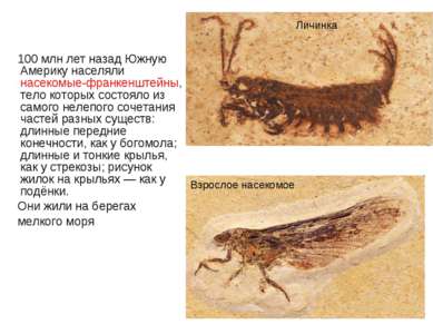 100 млн лет назад Южную Америку населяли насекомые-франкенштейны, тело которы...