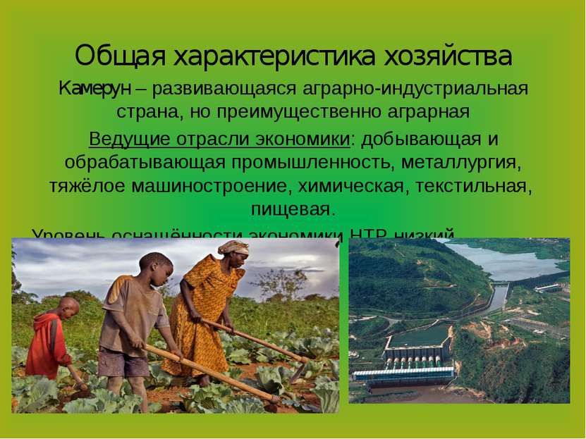 Общая характеристика хозяйства Камерун – развивающаяся аграрно-индустриальная...