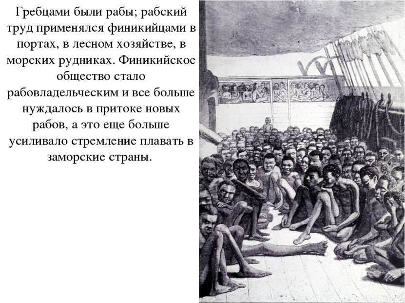 Гребцами были рабы; рабский труд применялся финикийцами в портах, в лесном хо...