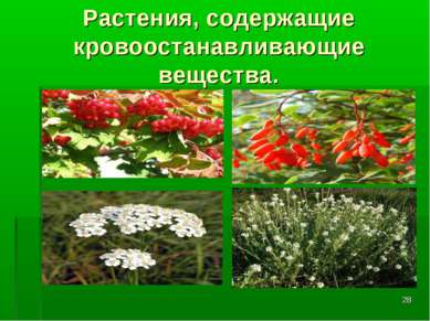 * Растения, содержащие кровоостанавливающие вещества.