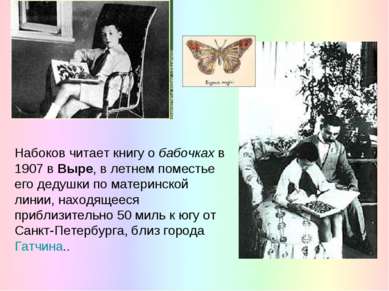 Набоков читает книгу о бабочках в 1907 в Выре, в летнем поместье его дедушки ...
