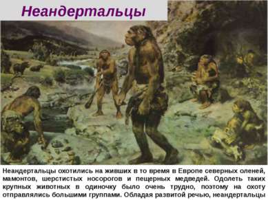Неандертальцы охотились на живших в то время в Европе северных оленей, мамонт...