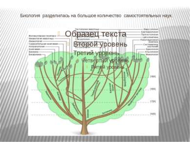 Биология разделилась на большое количество самостоятельных наук.