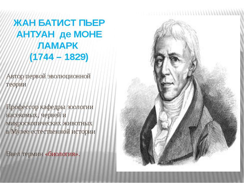 Автор первой эволюционной теории Профессор кафедры зоологии насекомых, червей...