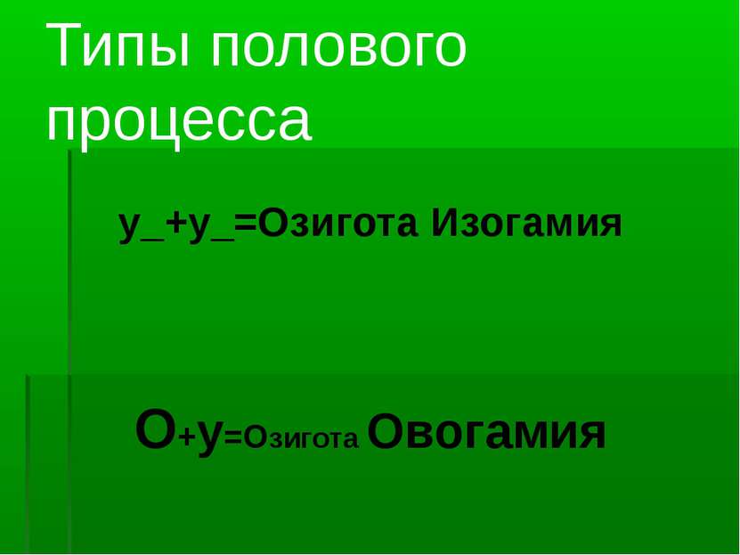 Типы полового процесса у_+у_=Озигота Изогамия О+у=Озигота Овогамия
