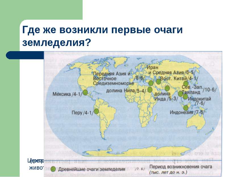 Где же возникли первые очаги земледелия? Центры возникновения культурных раст...