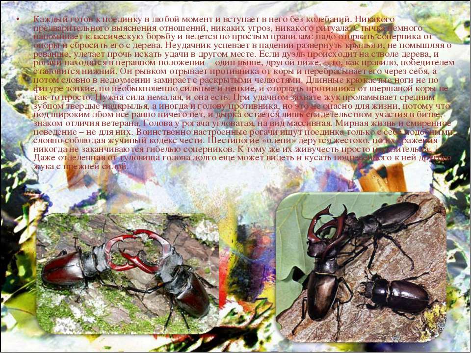 Шестиногие враги и друзья. Краткая история насекомых Шестиногие хозяева планеты. Жучиная плоть
