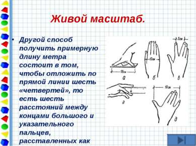   Живой масштаб. Другой способ получить примерную длину метра состоит в том, ...