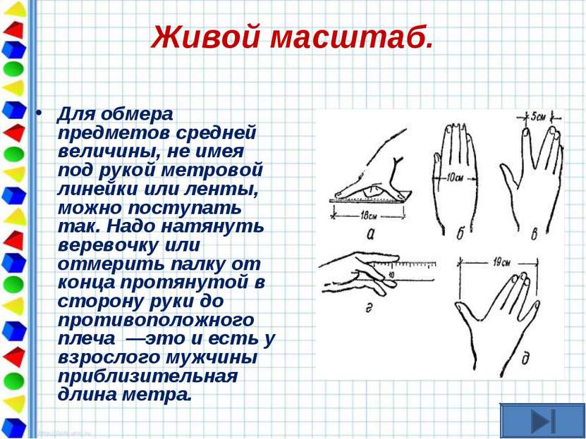 Живой масштаб. Для обмера предметов средней величины, не имея под рукой метро...