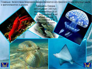 Главным богатством Мирового океана являются его биологические ресурсы :рыба, ...