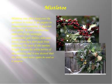 Mistletoe Mistletoe was often hung over the entrances to homes of the pagans ...