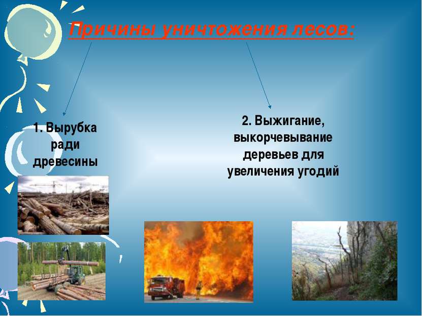 Причины уничтожения лесов: 1. Вырубка ради древесины 2. Выжигание, выкорчевыв...