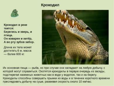 Крокодил Длина их тела может достигать 6 м, масса — более 600 кг. Их основная...