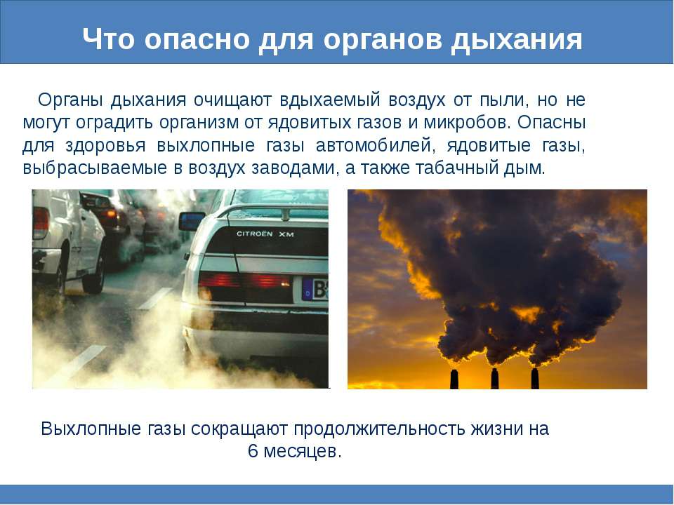 Воздух стал мягок. Воздействие выхлопных газов на окружающую среду. Вредные для человека автомобильные выхлопы. Влияние выхлопных газов на экологию. Выхлопные ГАЗЫ автомобилей влияние на атмосферу.