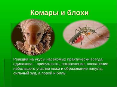 Комары и блохи Реакция на укусы насекомых практически всегда одинакова – прип...