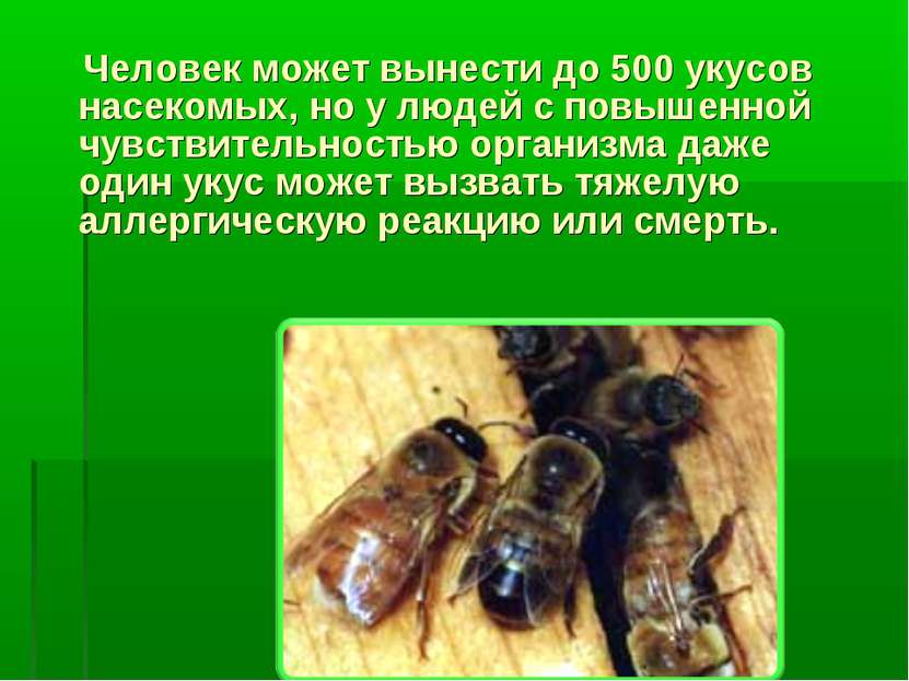 Человек может вынести до 500 укусов насекомых, но у людей с повышенной чувств...