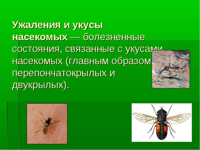 Ужаления и укусы насекомых — болезненные состояния, связанные с укусами насек...