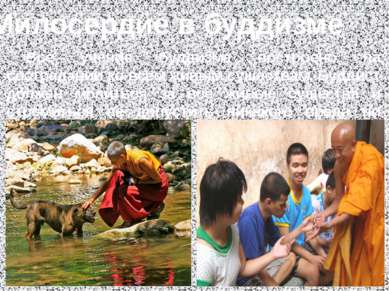 Милосердие в буддизме Всё учение буддизма построено на сострадании ко всем жи...