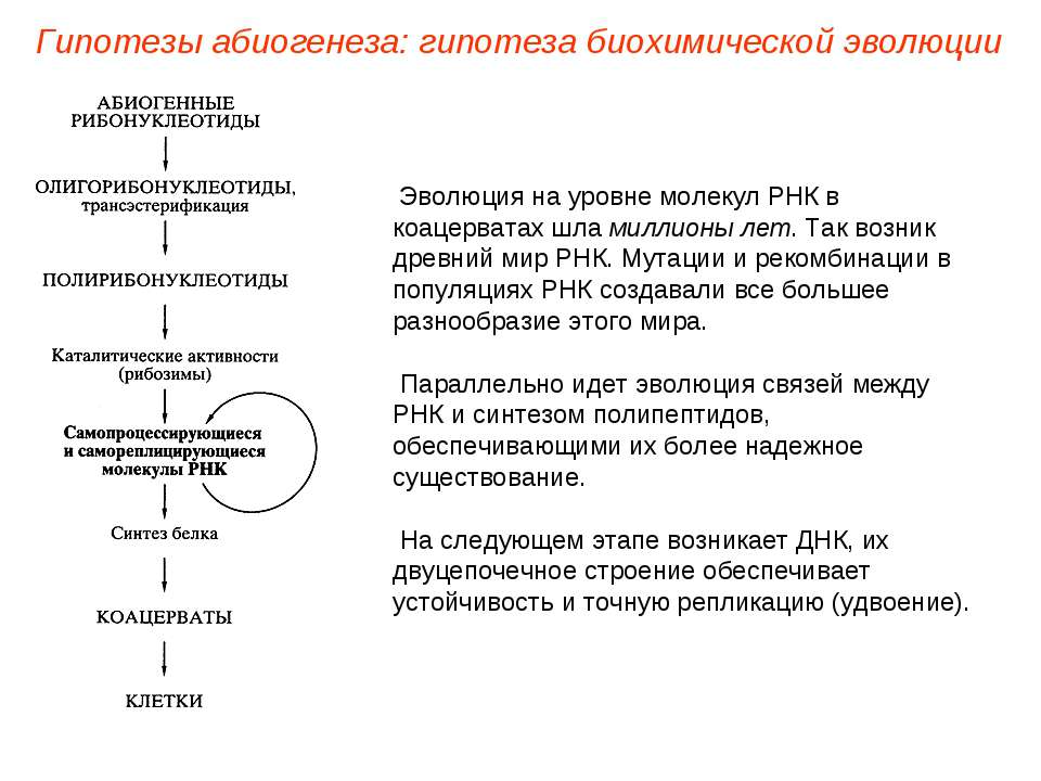 Гипотеза абиогенного синтеза. Гипотезы абиогенеза гипотеза биохимической эволюции. Этапы абиогенеза таблица. Гипотеза абиогенного зарождения жизни суть. Абиогенная теория происхождения жизни на земле.