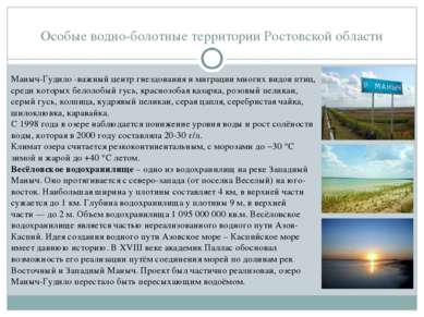 Особые водно-болотные территории Ростовской области Маныч-Гудило -важный цент...