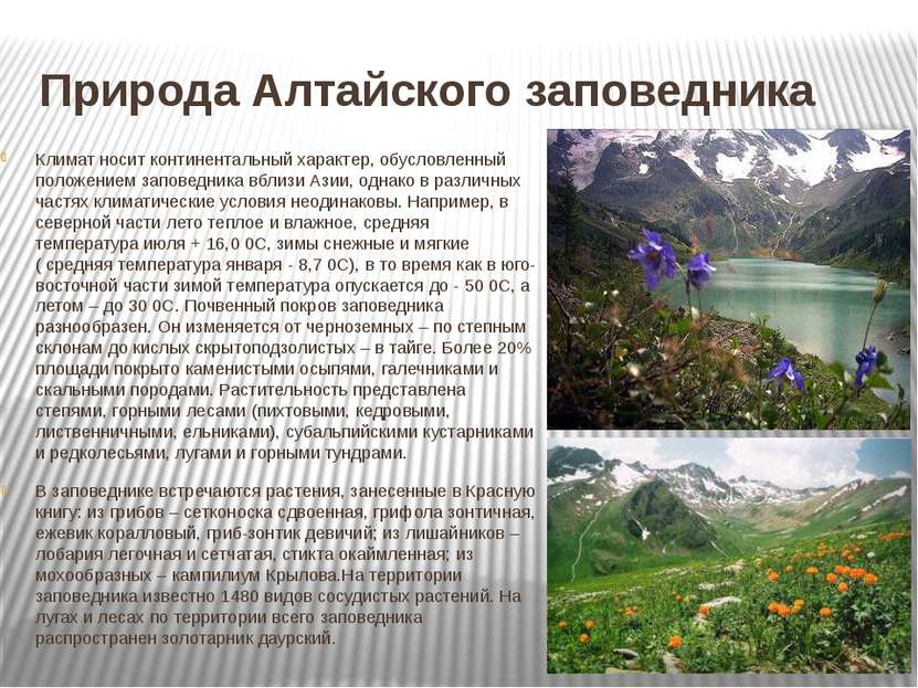 Природа Алтайского заповедника Климат носит континентальный характер, обуслов...